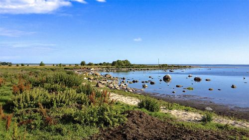 Scenic view of beach against sky