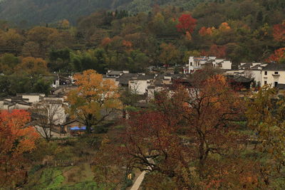High angle view of trees during autumn