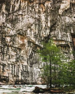 Scenic view of rock formation amidst trees