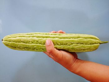 Close-up of hand holding leaf over white background