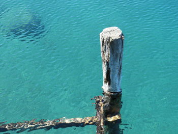 High angle view of wooden post on pier over sea