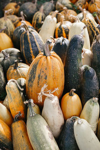 High angle view of pumpkins for sale at market stall