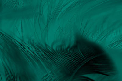 Beautiful dark green viridian vintage color trends feather texture background