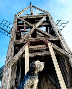 Low angle view of an abandoned building against sky