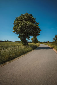 Road amidst trees on field against clear blue sky