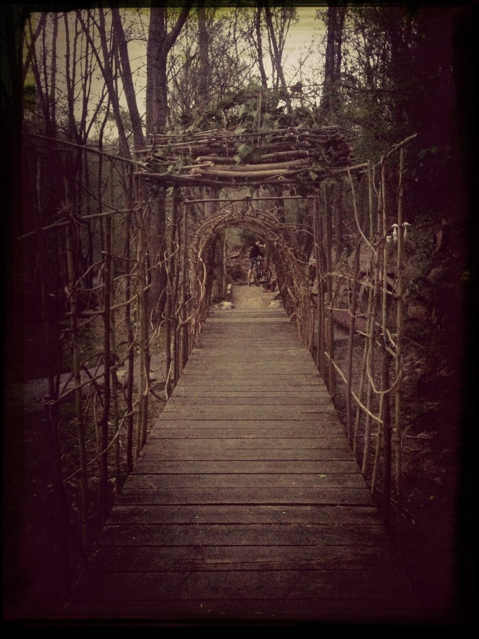 transfer print, the way forward, auto post production filter, wood - material, built structure, footbridge, architecture, tree, railing, wood, diminishing perspective, wooden, narrow, boardwalk, bridge - man made structure, connection, no people, bare tree, bridge, day