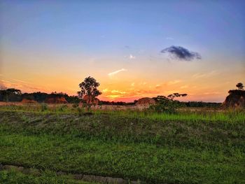 Scenic view of field against sky during sunset