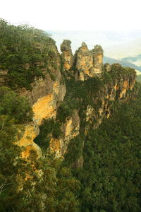 Trees growing on mountain against sky