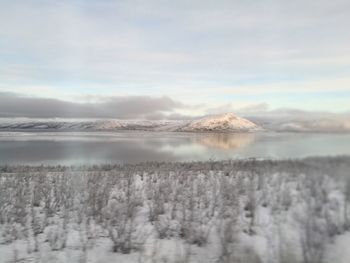 Scenic view of landscape against sky