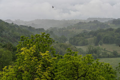 Scenic view of mountains