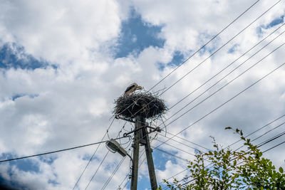 Low angle view of electricity pylon against sky with bird bocian