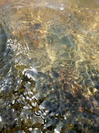 Full frame shot of rippled water