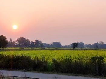 Scenic view of field against sky during sunset