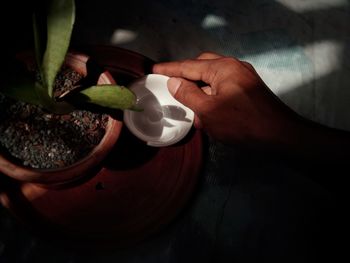 Cropped hand of woman holding potted plant