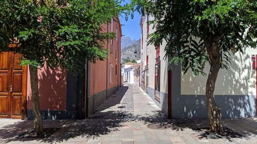 Empty alley amidst buildings in city