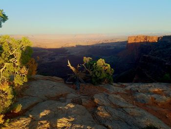 High angle view of collapsed tree trunk against arid landscape