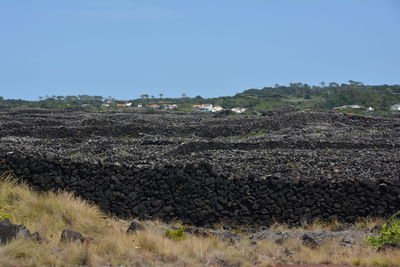 Scenic view of field against clear sky