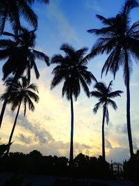 Silhouette palm trees against sky during sunset