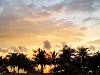 Silhouette palm trees on beach against sky at sunset