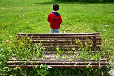 Rear view of boy and one bench full of plants in a park