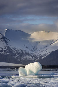 Icebergs in sea against snowcapped mountains