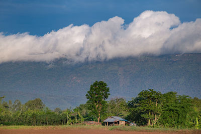 Scenic view of field and trees against sky