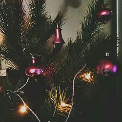 Close-up of illuminated christmas tree at night