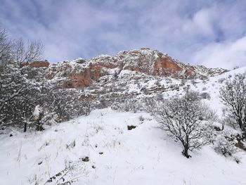 Snow covered land and trees against sky