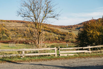 Walking man at the field in village with autumn mountains background