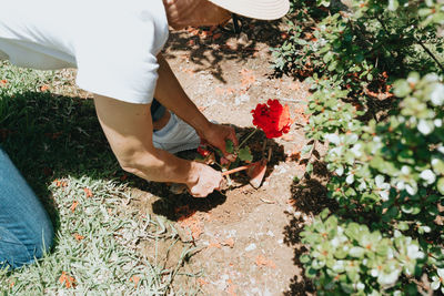 High angle view of man watering plants