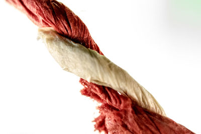 Close-up of rope against white background