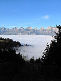 Scenic view of fog lake against sky, mountains, trees, forest