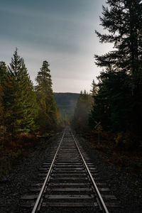 Railroad tracks on field