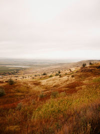 Scenic view of landscape