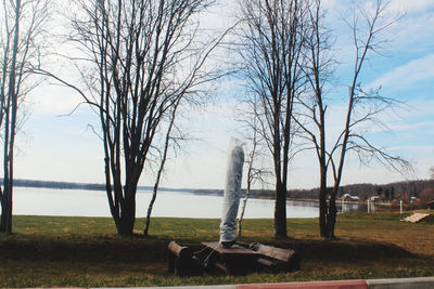 Bare trees on field against sky