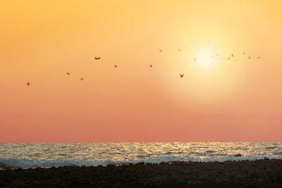 Silhouette birds flying over sea against sky during sunset