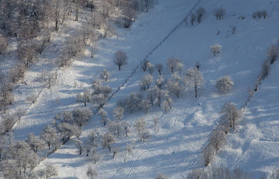 High angle view of snow covered field