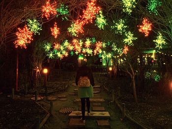 Rear view of woman standing by illuminated tree at night