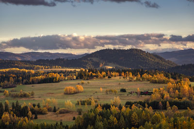 Scenic view of field against sky during sunset
