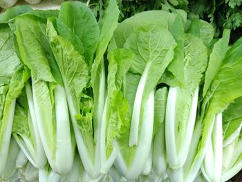 Full frame shot of vegetables