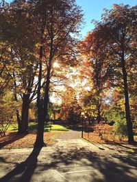 Road amidst trees in park during autumn