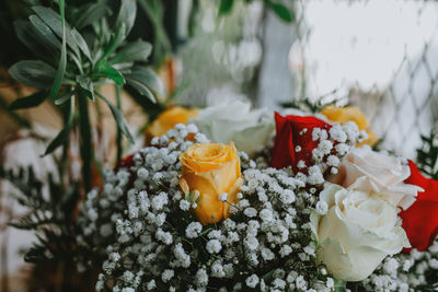 Close-up of orange flowers on table