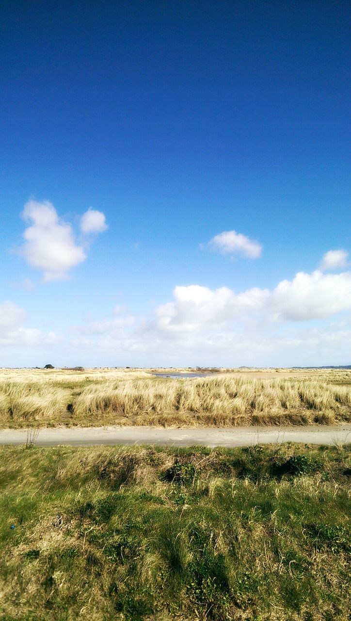 blue, sky, tranquil scene, tranquility, landscape, grass, field, scenics, beauty in nature, nature, cloud, horizon over land, cloud - sky, rural scene, day, copy space, remote, non-urban scene, idyllic, outdoors