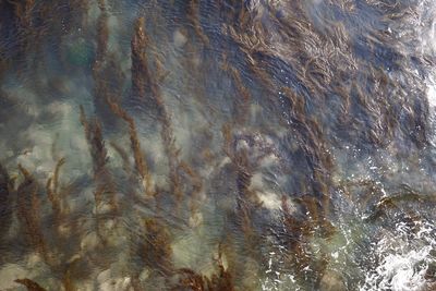 Full frame shot of rocks in water