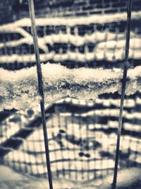 Close-up of metal fence