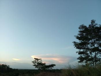 Silhouette trees on landscape against sky during sunset