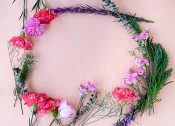 Close-up of pink flowering plant