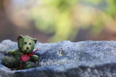 Close-up of lost teddy bear on rock