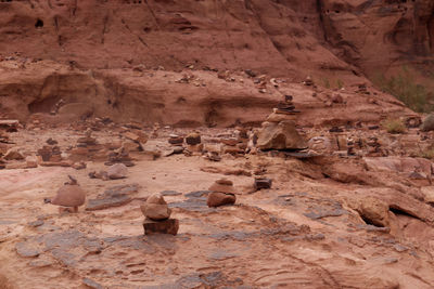 Rock formations in a desert