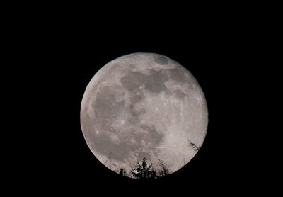 Low angle view of moon against sky at night